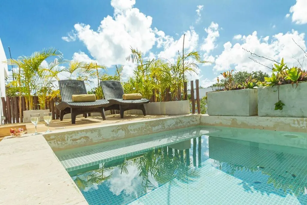 Magnificent House With Pool & Jungle View Villa Tulum Messico
