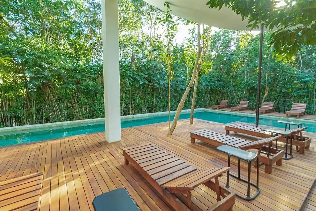 Magnificent House With Pool & Jungle View Villa Tulum